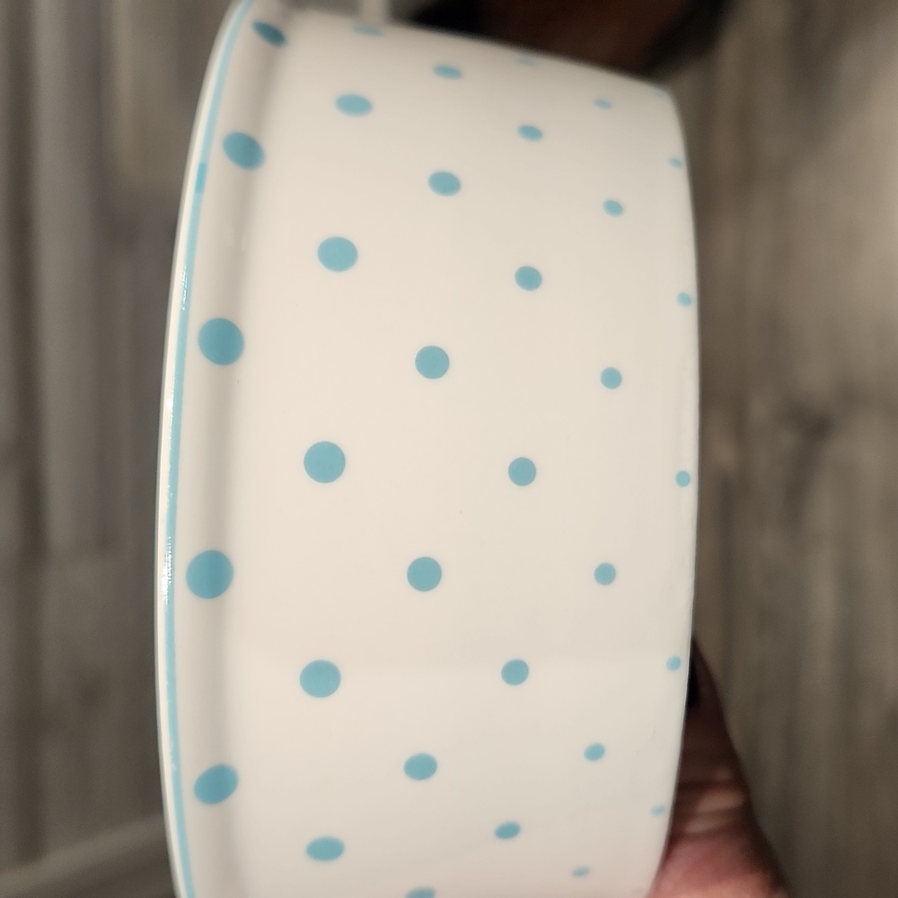 EUC Fido's Diner By Coastline Imports Dog Dish w/Blue Polka Dots 2 1/16" Ht